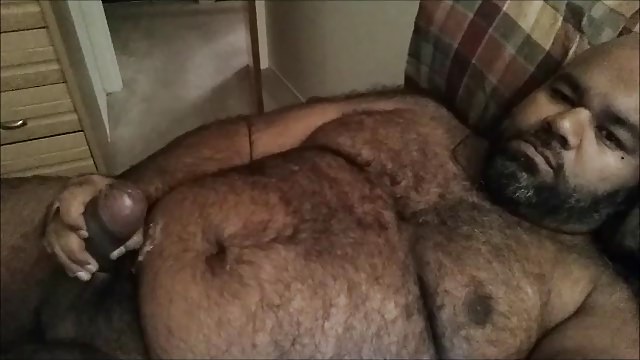 oso hermoso y perfecto