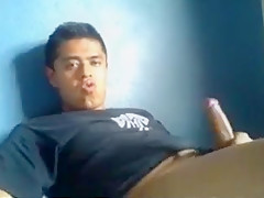 Chacalito Caliente y Lechero de Guerrero Mexico