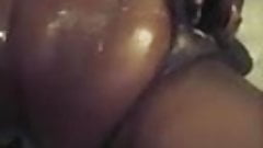 Black Chub Bust A Nut